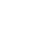 智